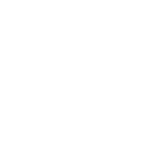 SPEEDO-OK