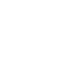 vetster